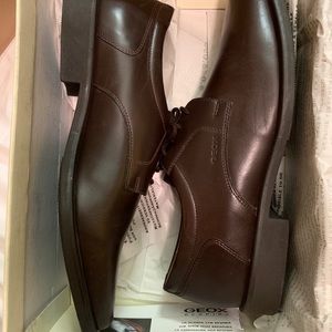 Geox brown dress shoes